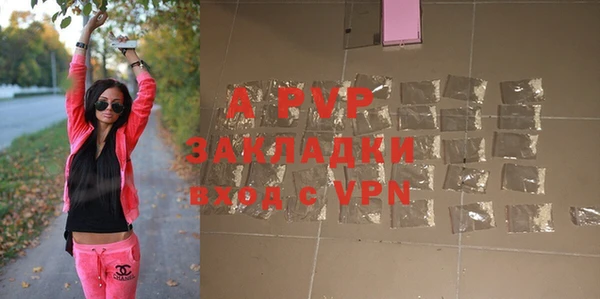 индика Каменногорск