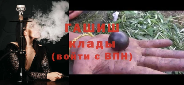 индика Каменногорск