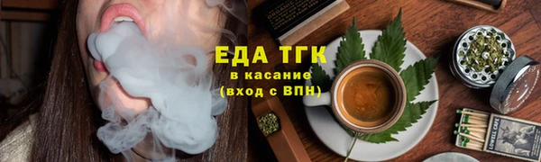 индика Каменногорск