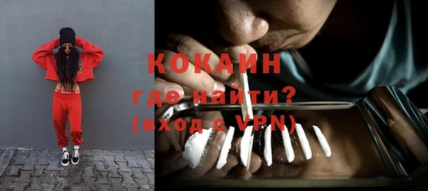 индика Каменногорск
