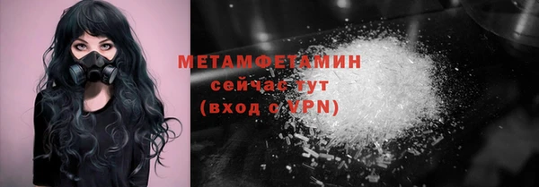 индика Каменногорск