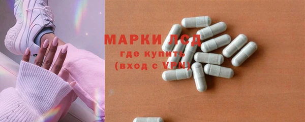шишки Инсар
