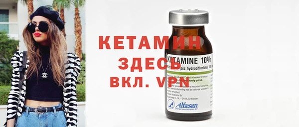 индика Каменногорск