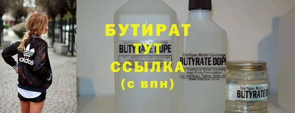 индика Каменногорск