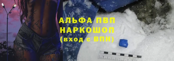 индика Каменногорск