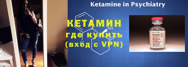 индика Каменногорск