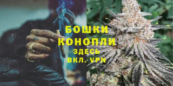 прущая мука Каменка