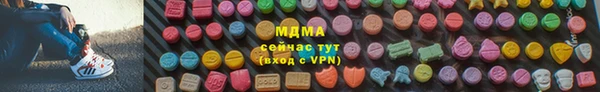 индика Каменногорск