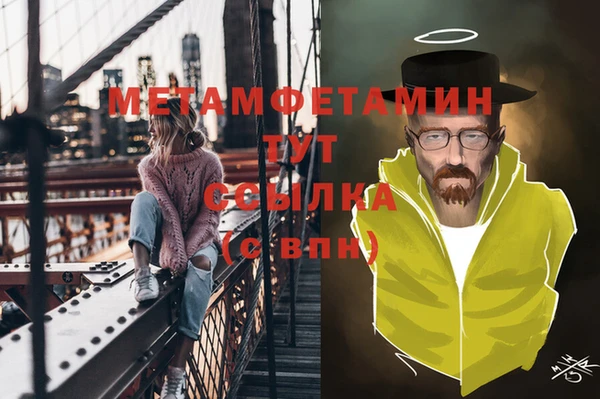 индика Каменногорск
