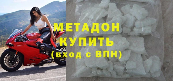 индика Каменногорск