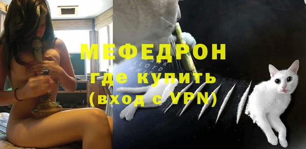 индика Каменногорск